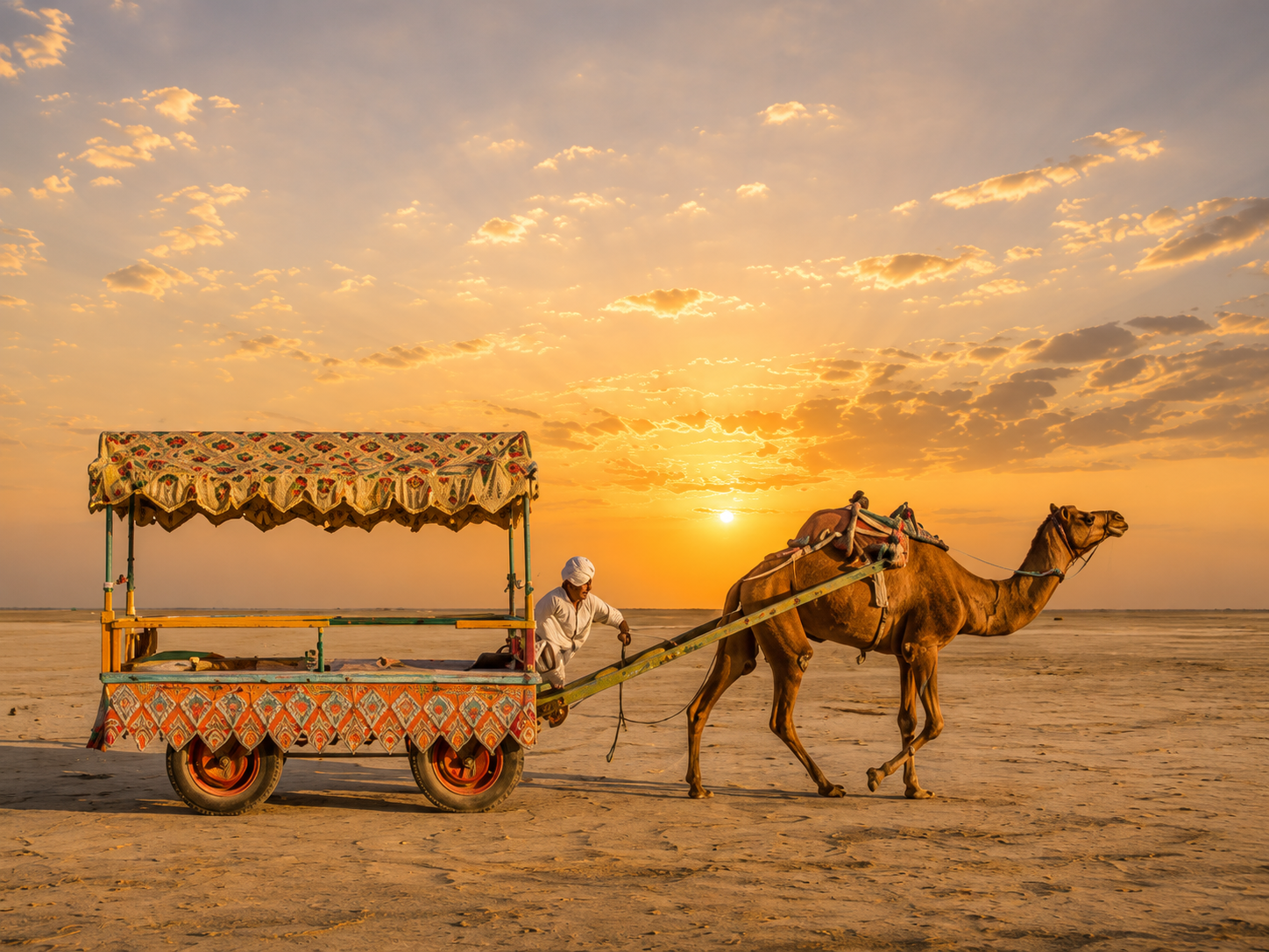 Camel cart at sunset in the Rann of Kutch desert
